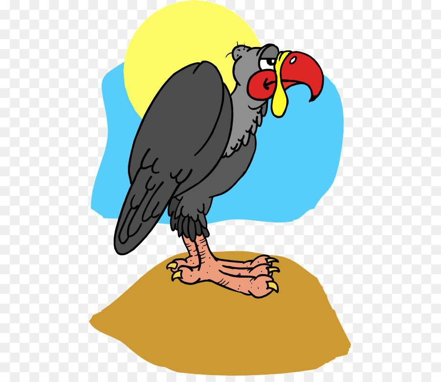 Guacamayo，Hawk PNG