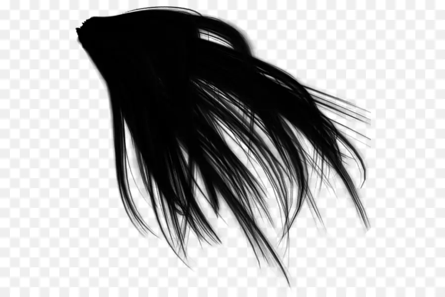 Negro，El Cabello Negro PNG