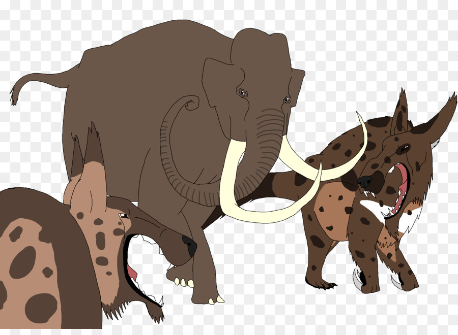 El Elefante Africano，Elefante Indio PNG