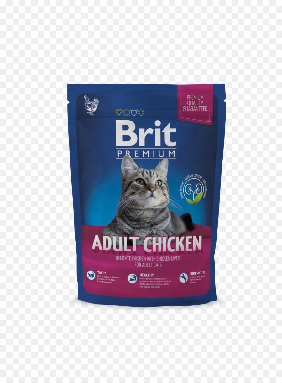 Gato，Pollo PNG