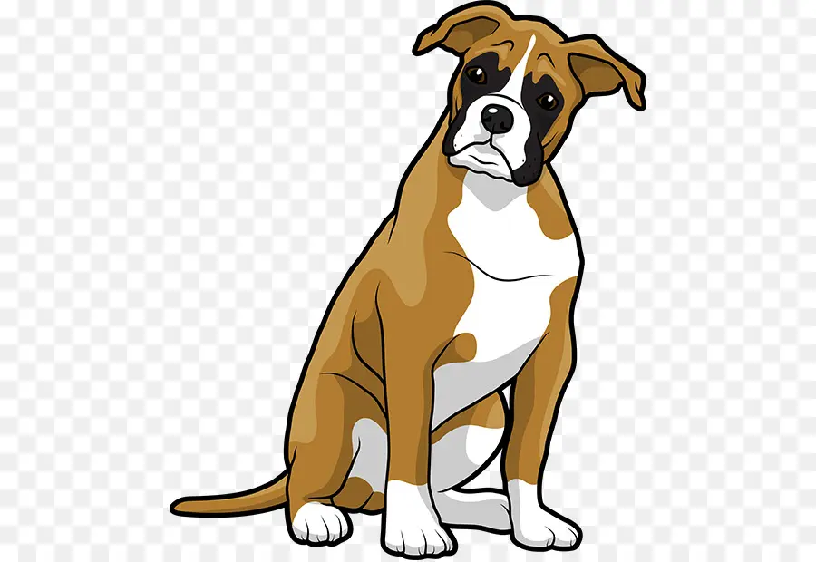 Boxer，Cachorro PNG