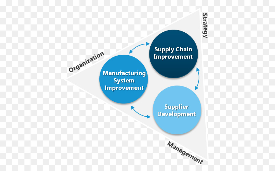Organización，Cadena De Suministro PNG