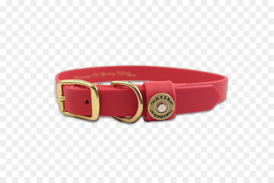 Perro，Collar De Perro PNG