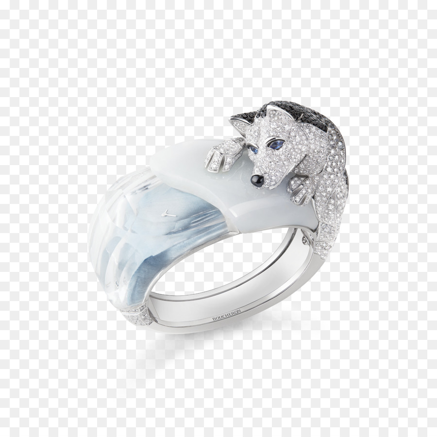 Anillo，Pendiente PNG