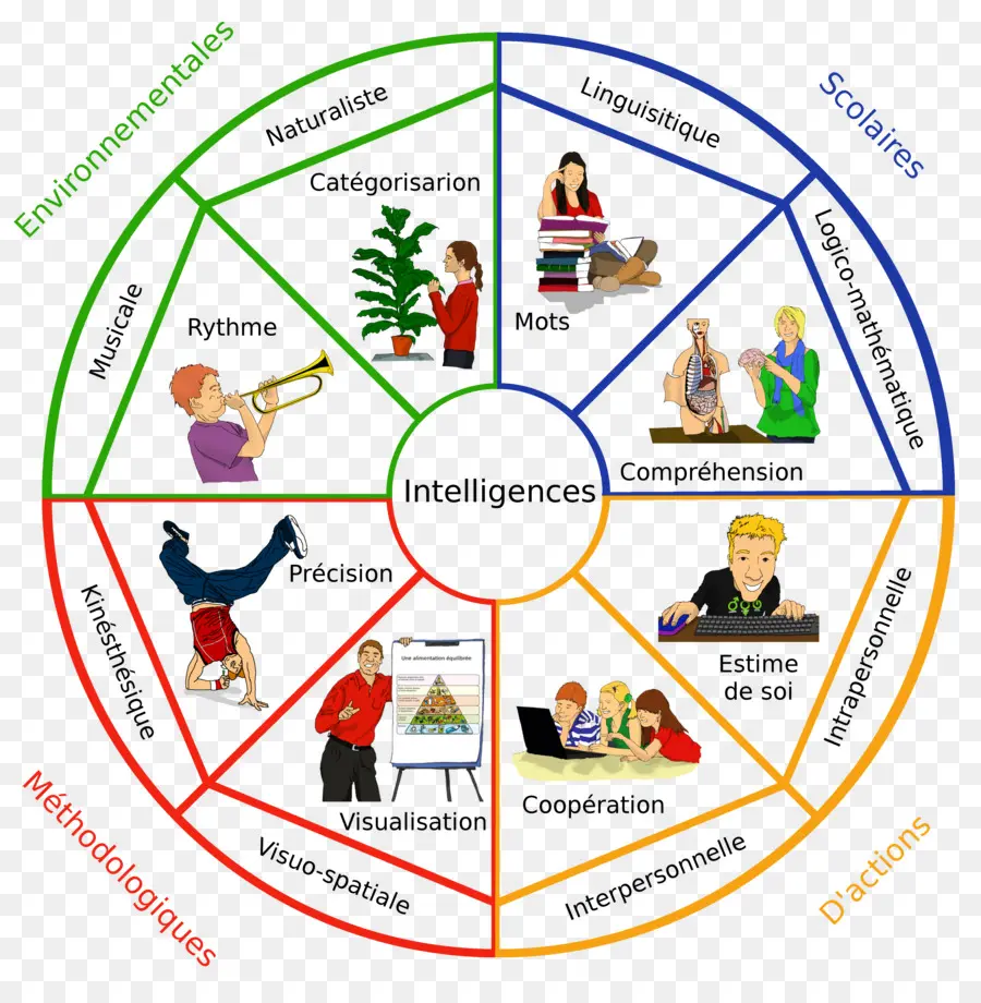 Diagrama De Inteligencias，Inteligencias Múltiples PNG