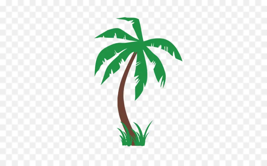 Arecaceae，árbol PNG