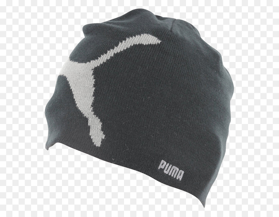 Gorro，Cougar PNG