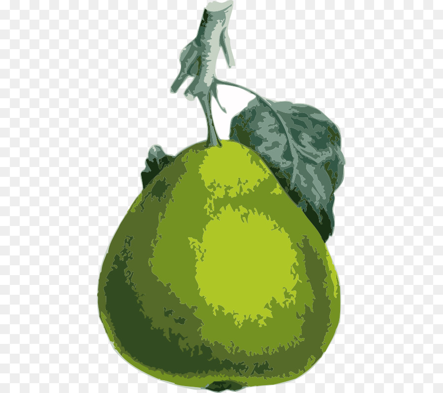 Melón，Iconos De Equipo PNG