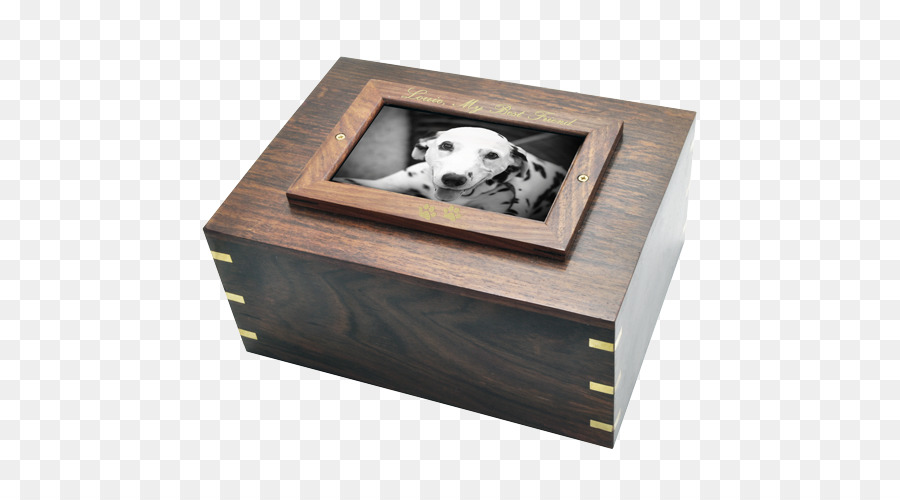 Perro，Pérdida De Una Mascota PNG