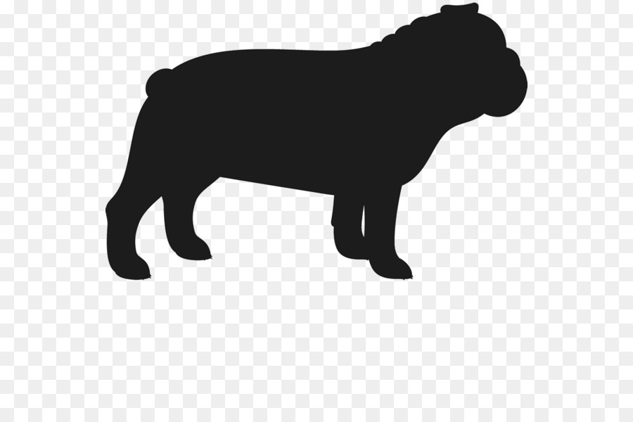 Bulldog Francés，Cachorro PNG