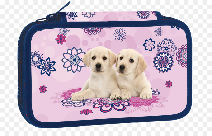 Cachorros，Lindo PNG