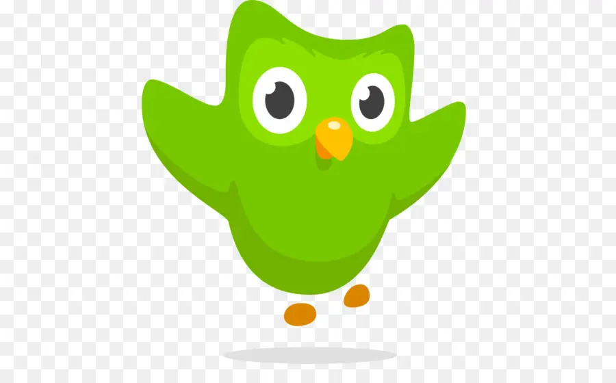 Búho Duolingo，Verde PNG