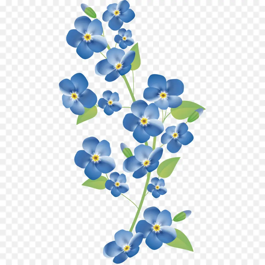 Flores No Me Olvides，Azul PNG