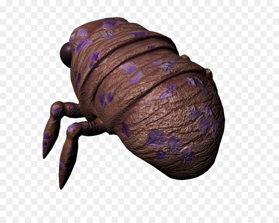 Los Insectos，El Mapeo De Texturas PNG