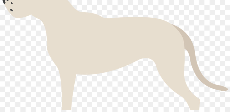 Raza De Perro，Lebrel Italiano PNG