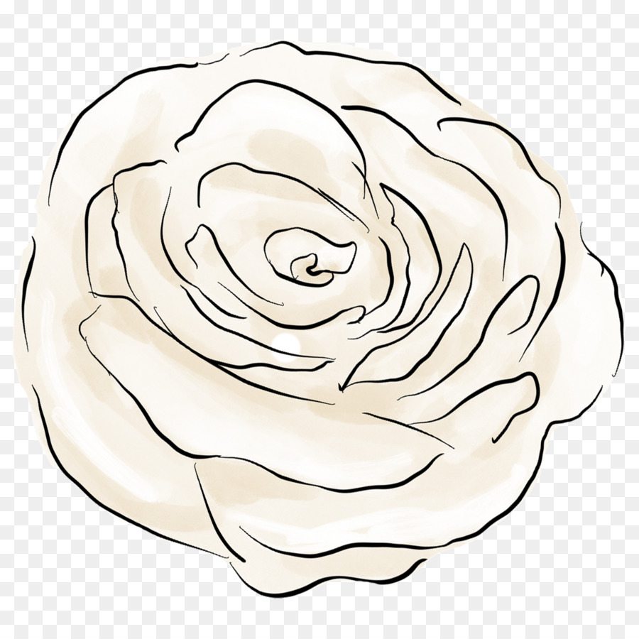 Las Rosas De Jardín，Dibujo PNG