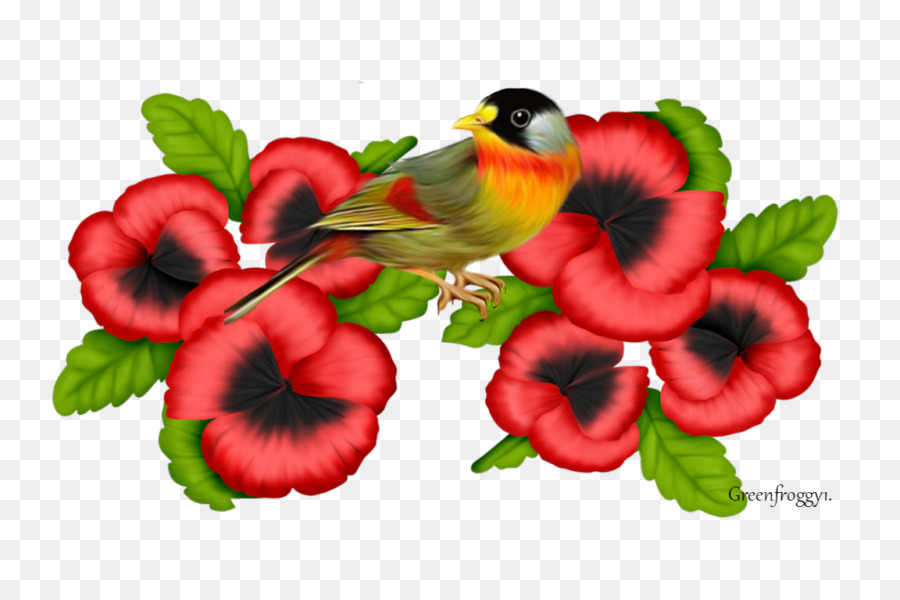 Flor，Idea PNG