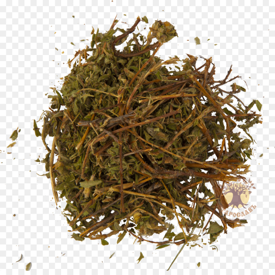 Té，Nilgiri Té PNG