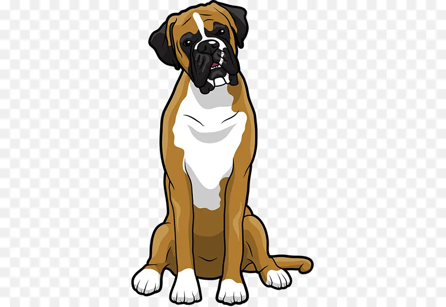 Boxer，Cachorro PNG