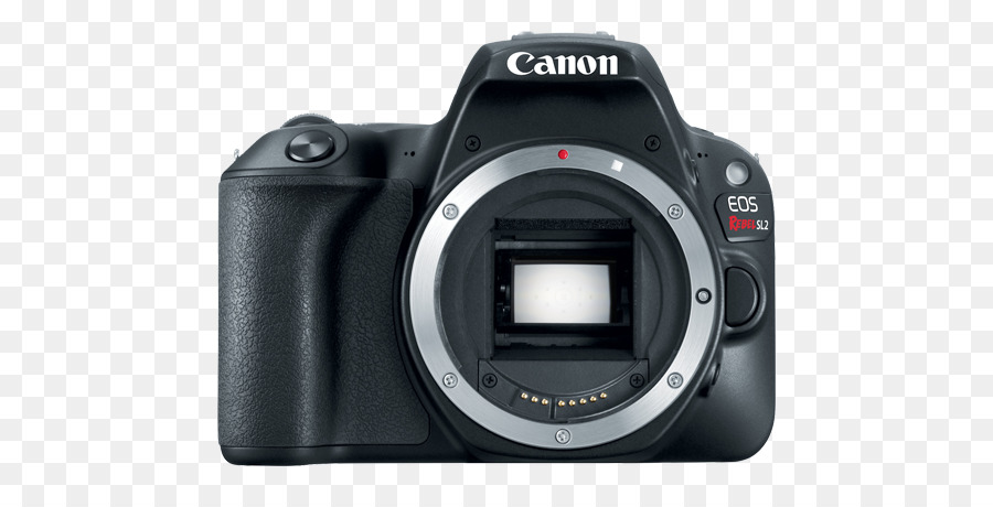 Canon Eos 100d，Canon Eos 5d Mark Iv PNG