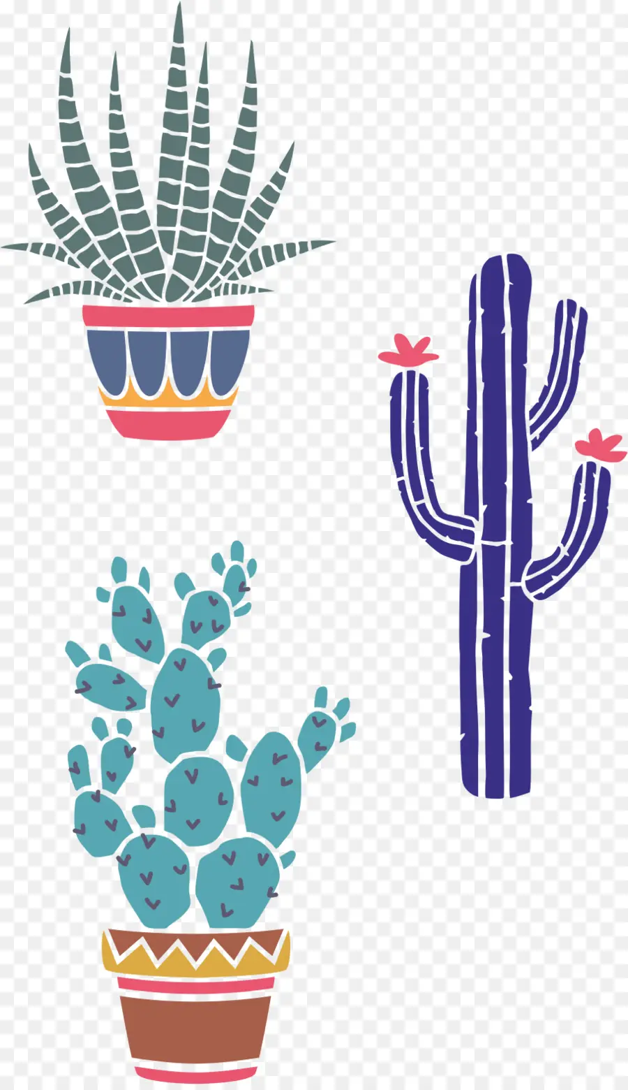 Cactus Y Suculentas，En Conserva PNG