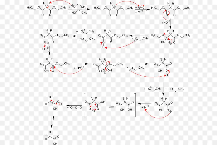 Reacción Química，Molécula PNG