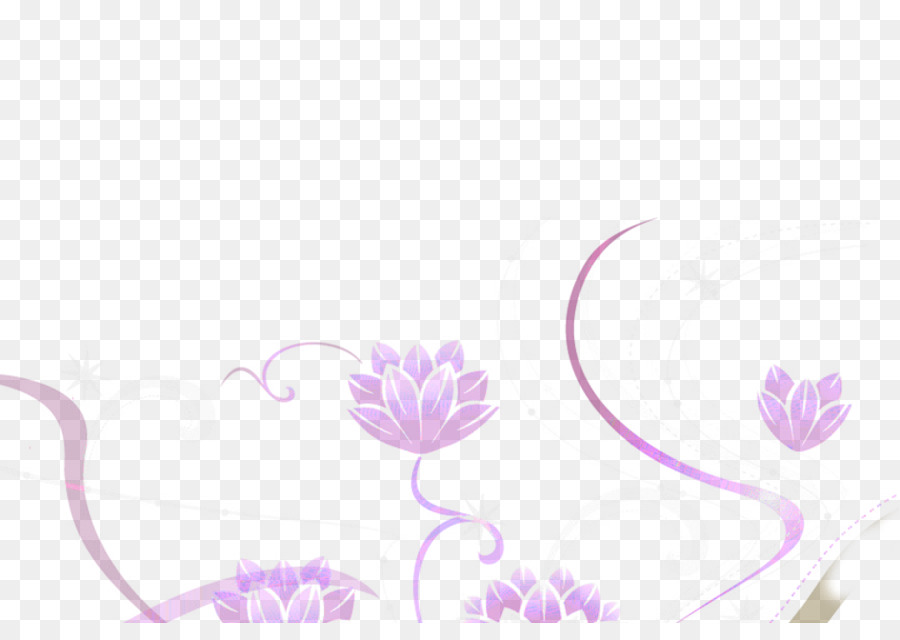 Diseño Floral，Computadora PNG