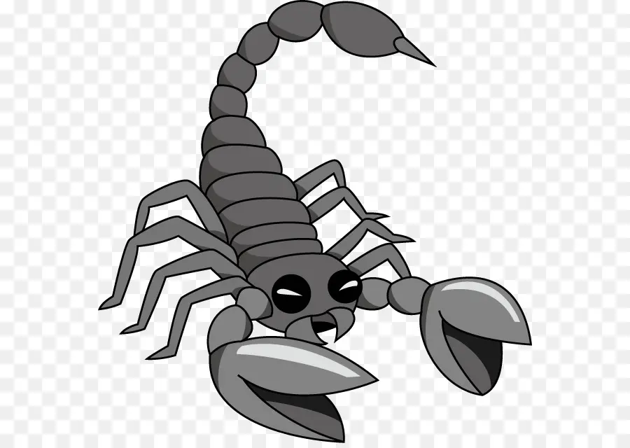 Escorpión，Insecto PNG