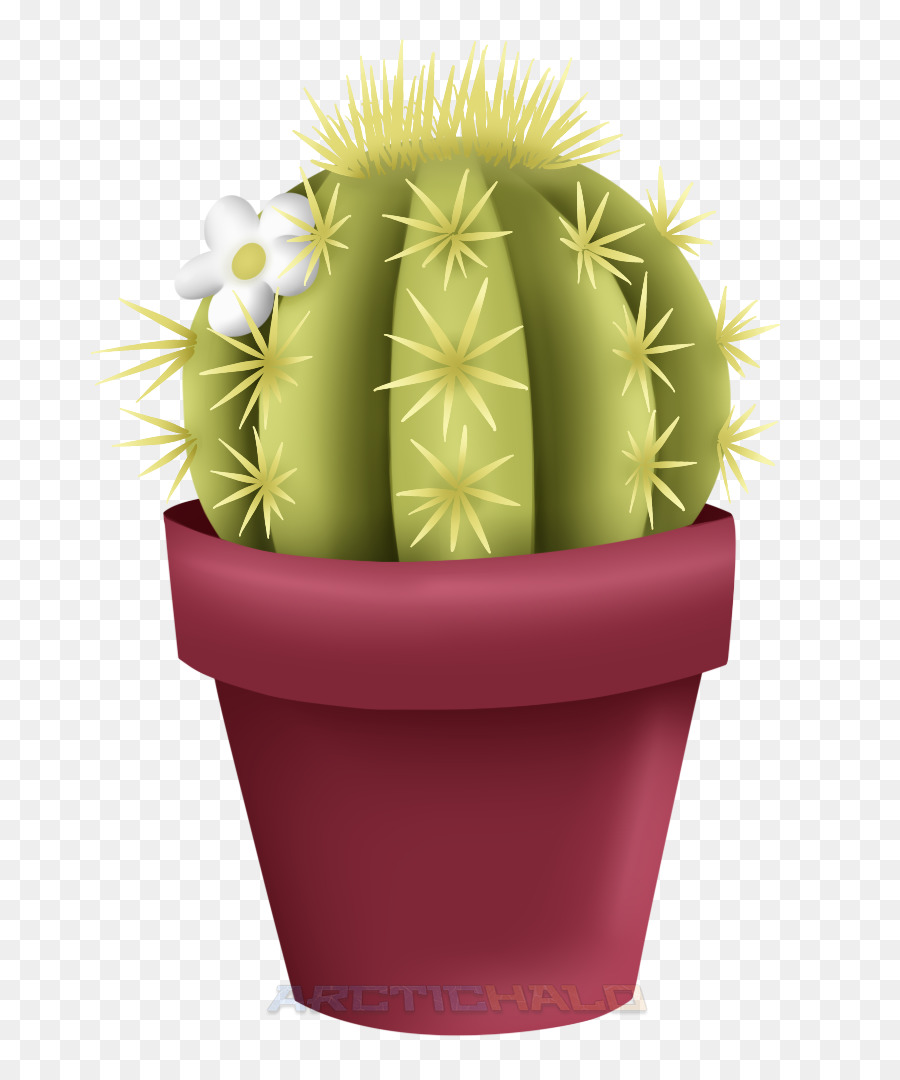 Maceta，Cactus De Erizo De Fresa PNG