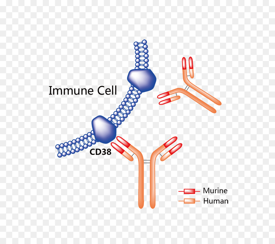 Trastuzumab Emtansine，De Drogas Farmacéuticas PNG