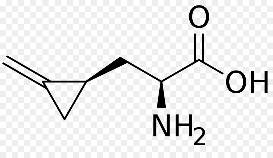 Aminoácidos，La Química PNG