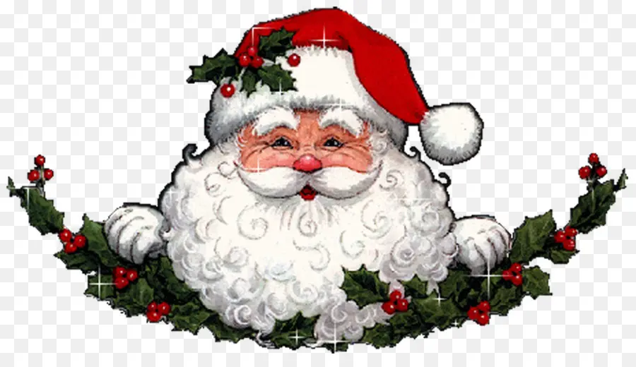 Santa Claus，Ded Moroz PNG