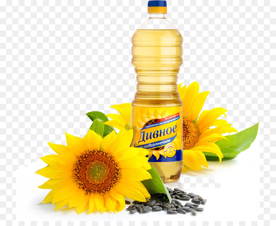 Aceite De Girasol，Común De Girasol PNG