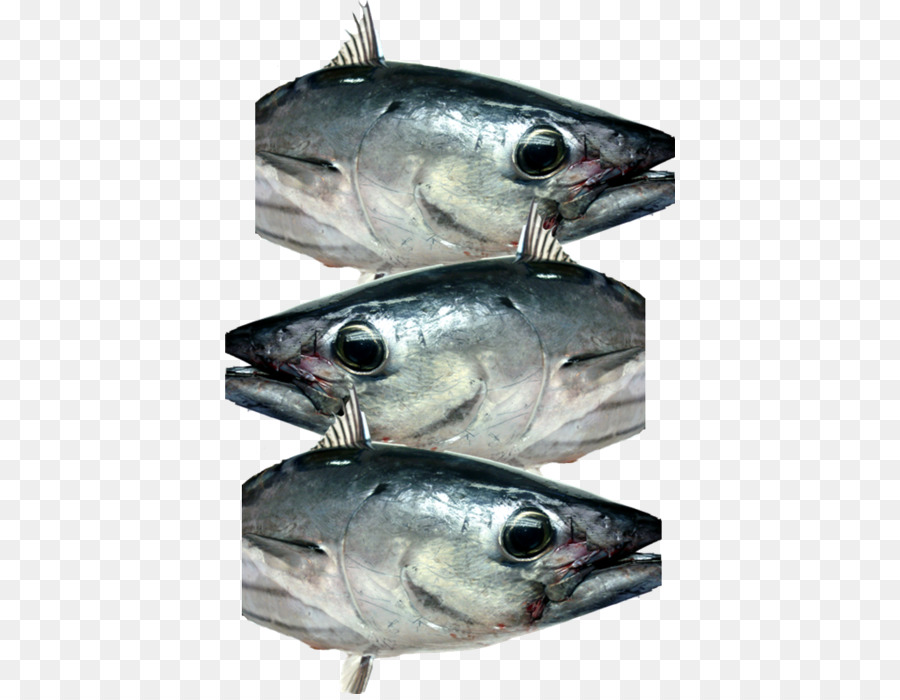 La Caballa，Los Productos De Pescado PNG