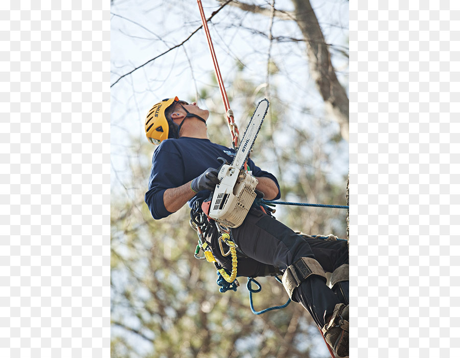 Los Arneses De Escalada，Belay Rappel Dispositivos PNG