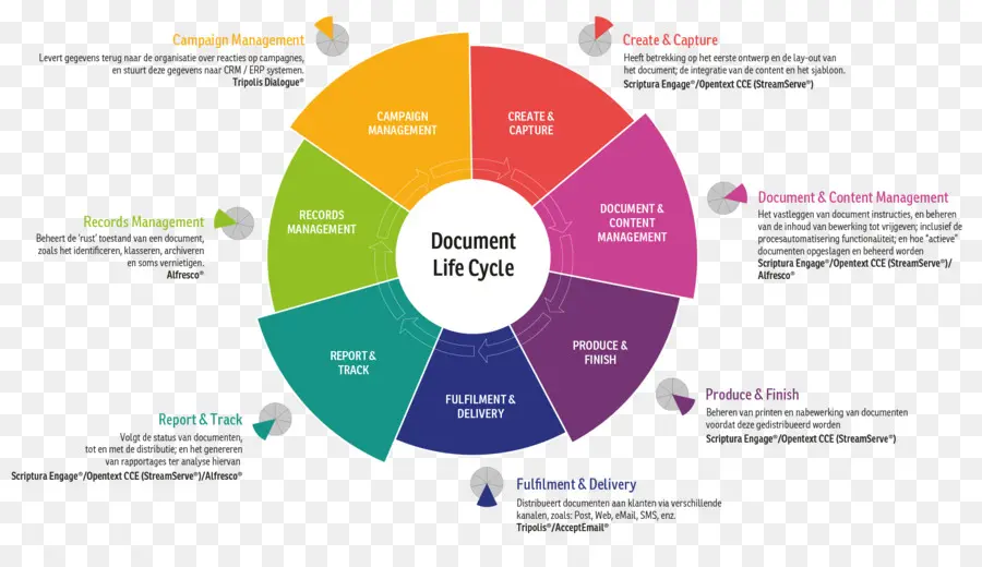 Ciclo De Vida Del Documento，Proceso PNG