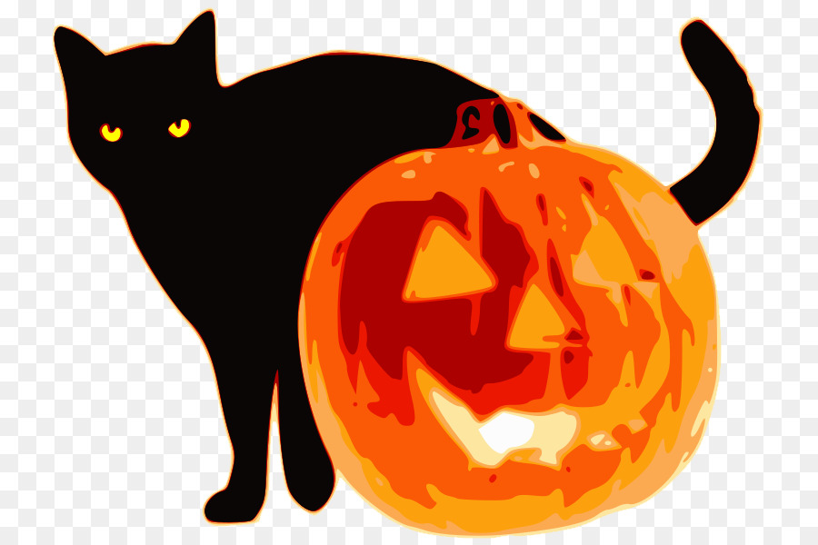 Jacko Lantern，Gatito PNG