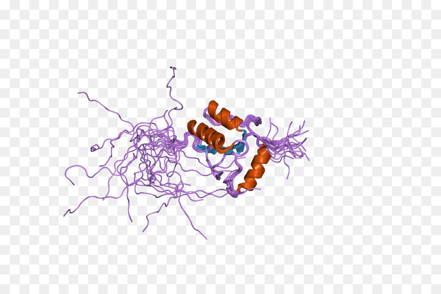 Estructura De La Proteína，Molécula PNG