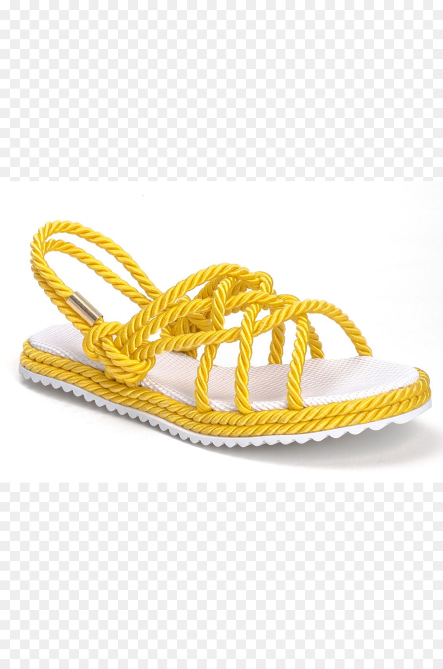 Flipflops，Zapato PNG