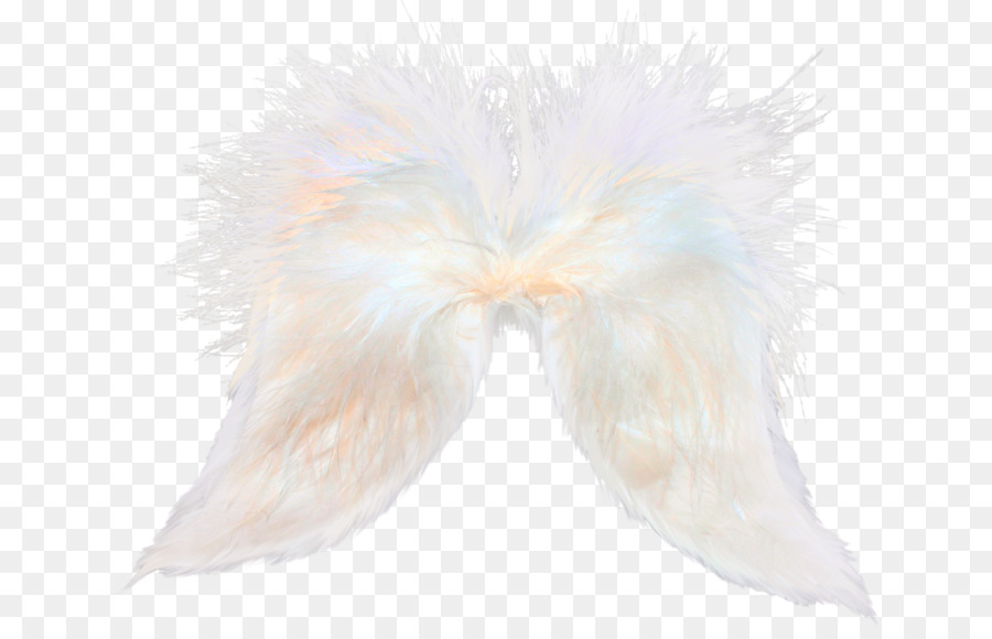 Alas，Plumas PNG