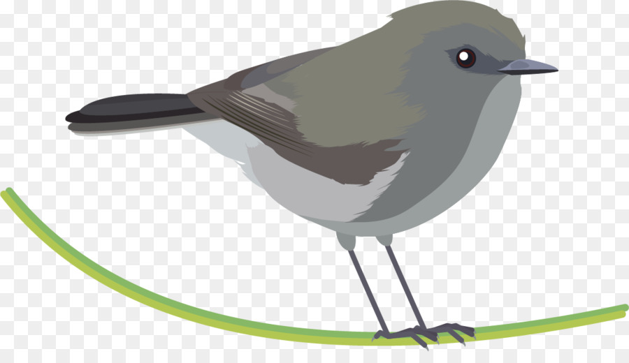 Pájaro，Reyezuelo PNG