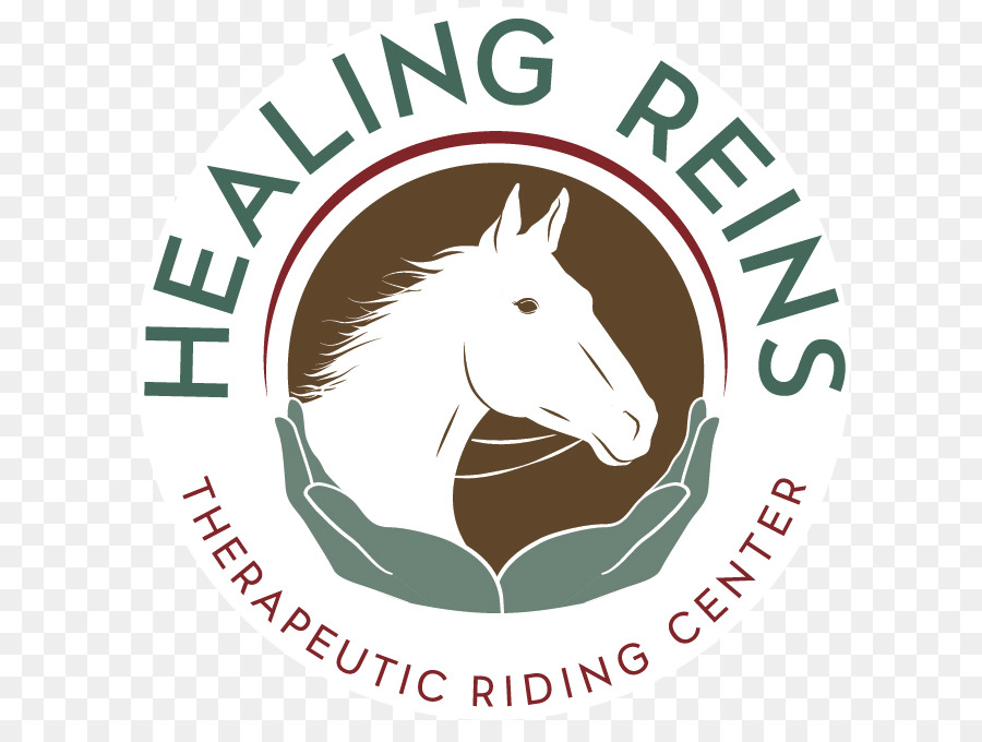 La Curación Riendas Centro De Equitación Terapéutica，Caballo PNG
