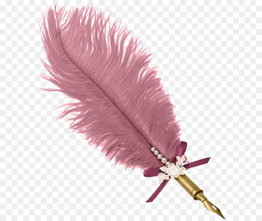 La Boda，Pluma PNG