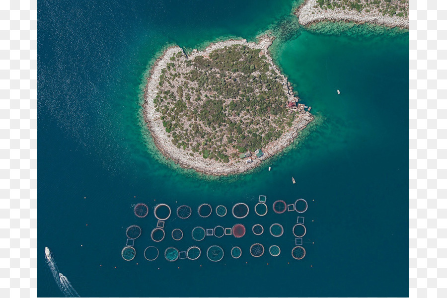 Fish Farming，La Fotografía Aérea PNG