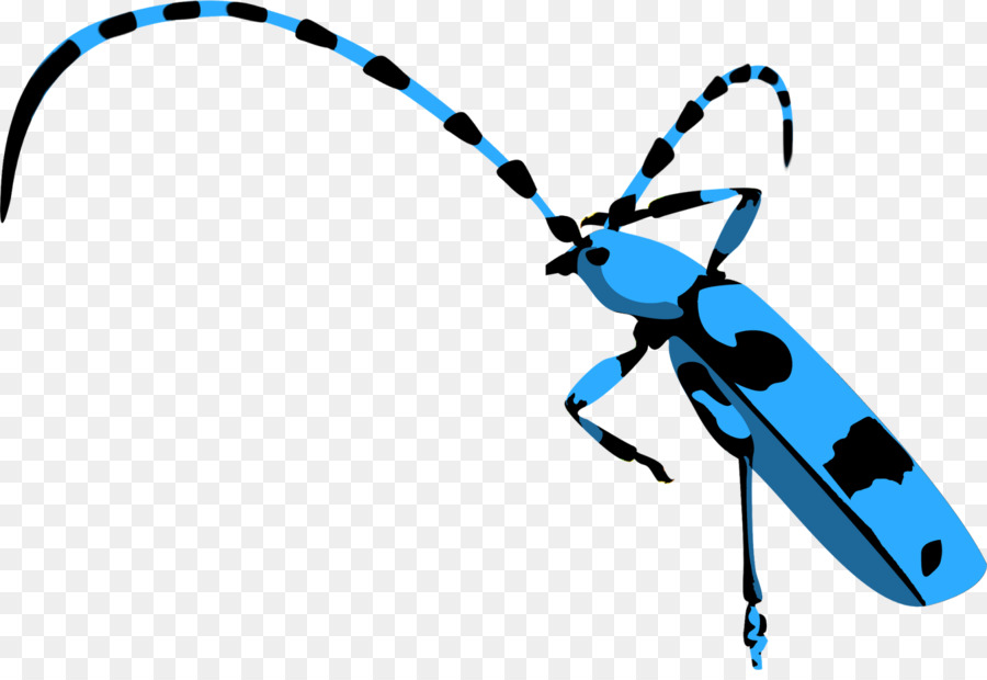 Los Insectos，La Tecnología PNG