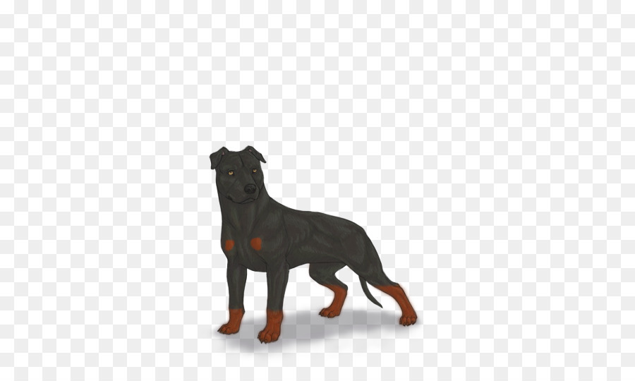 Rottweiler，Cachorro PNG