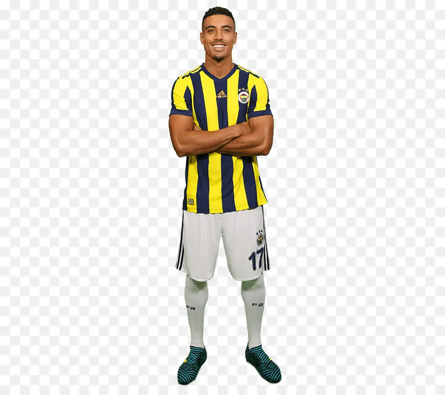 Hasan Ali Pavimento，El Fenerbahçe Sk PNG