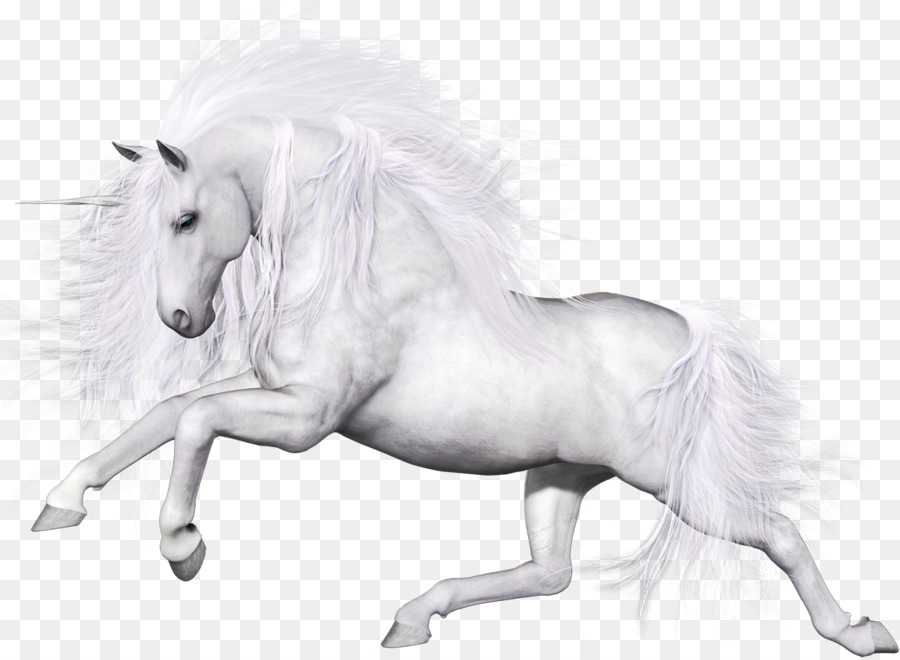 Unicornio，Caballo PNG