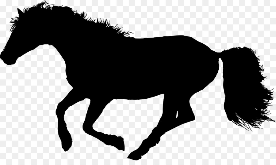 Caballo Negro，Silueta PNG