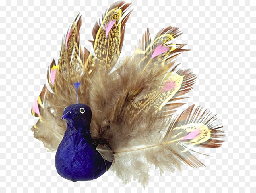 Pavo Real Azul，Pavo Real PNG